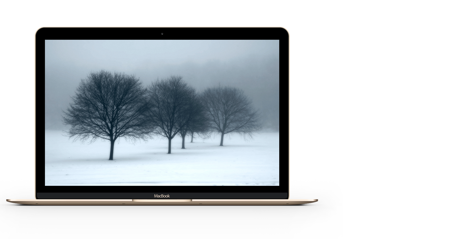 Offscreen hero unit image